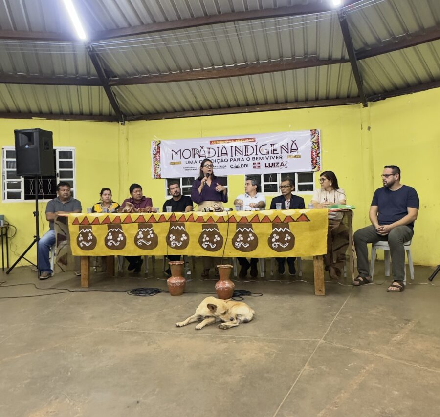 Luiza avalia como positiva a primeira Audiência Pública sobre Moradia Indígena realizada na Aldeia Água Bonita